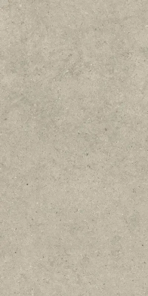 Керамогранит  / Италон / Italon / Forum / Форум/ Стоун Дезерт 60x120 / STONE DESERT 60X120